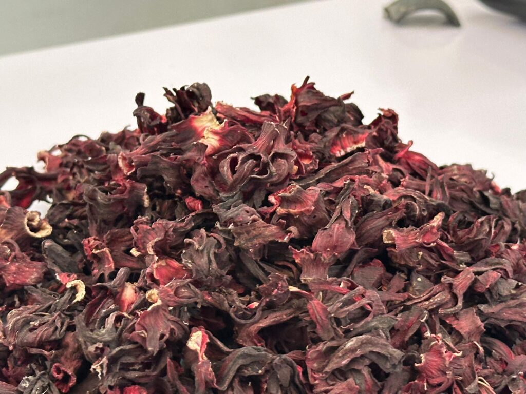 Hibiscus flower exporter, Hibiscus sabdariffa supplier, Dried hibiscus flower export, Hibiscus flower from Nigeria, Bulk hibiscus flower supplier, Organic hibiscus flower, Hibiscus roselle supplier, Hibiscus bulk tea, Nigeria hibiscus flower export, Hibiscus flower exporter, Hibiscus, Roselle, Hibiscus Roselle,