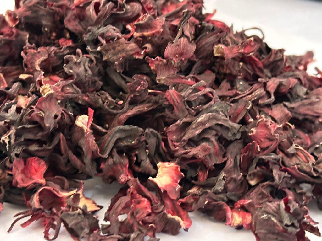 Hibiscus flower exporter, Hibiscus sabdariffa supplier, Dried hibiscus flower export, Hibiscus flower from Nigeria, Bulk hibiscus flower supplier, Organic hibiscus flower, Hibiscus roselle supplier, Hibiscus bulk tea, Nigeria hibiscus flower export, Hibiscus flower exporter, Hibiscus, Roselle, Hibiscus Roselle,