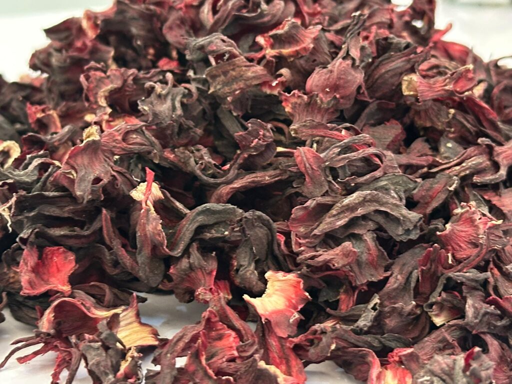 Hibiscus flower exporter, Hibiscus sabdariffa supplier, Dried hibiscus flower export, Hibiscus flower from Nigeria, Bulk hibiscus flower supplier, Organic hibiscus flower, Hibiscus roselle supplier, Hibiscus bulk tea, Nigeria hibiscus flower export, Hibiscus flower exporter, Hibiscus, Roselle, Hibiscus Roselle,
