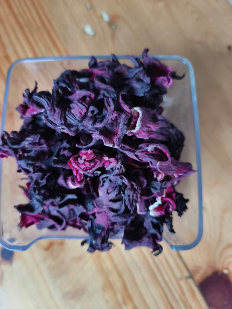 Hibiscus flower exporter, Hibiscus sabdariffa supplier, Dried hibiscus flower export, Hibiscus flower from Nigeria, Bulk hibiscus flower supplier, Organic hibiscus flower, Hibiscus roselle supplier, Hibiscus bulk tea, Nigeria hibiscus flower export, Hibiscus flower exporter, Hibiscus, Roselle, Hibiscus roselle,