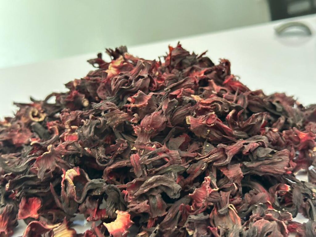 Hibiscus flower exporter, Hibiscus sabdariffa supplier, Dried hibiscus flower export, Hibiscus flower from Nigeria, Bulk hibiscus flower supplier, Organic hibiscus flower, Hibiscus roselle supplier, Hibiscus bulk tea, Nigeria hibiscus flower export, Hibiscus flower exporter