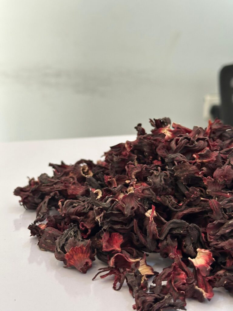 Hibiscus sabdariffa supplier, Dried hibiscus flower export, Hibiscus flower from Nigeria, Bulk hibiscus flower supplier, Organic hibiscus flower, Hibiscus roselle supplier, Hibiscus bulk tea, Nigeria hibiscus flower export, Hibiscus flower exporter, Roselle, Hibiscus, Hibiscus roselle,