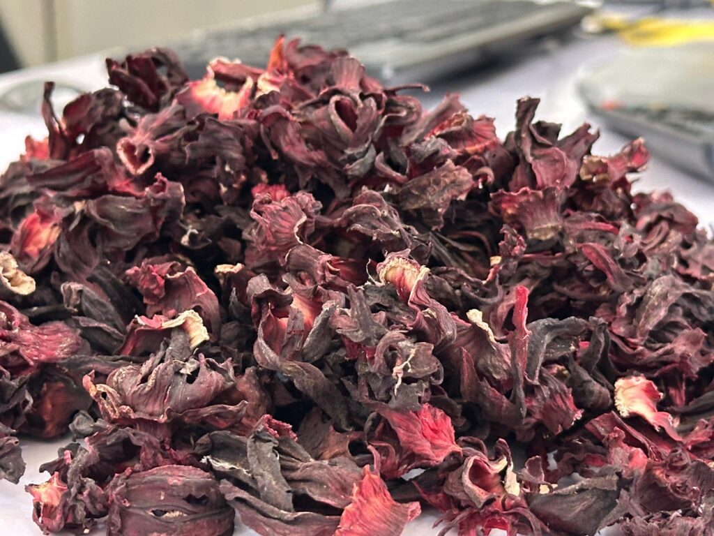 Hibiscus sabdariffa supplier, Dried hibiscus flower export, Hibiscus flower from Nigeria, Bulk hibiscus flower supplier, Organic hibiscus flower, Hibiscus roselle supplier, Hibiscus bulk tea, Nigeria hibiscus flower export, Hibiscus flower exporter, Roselle, Hibiscus, Hibiscus roselle,