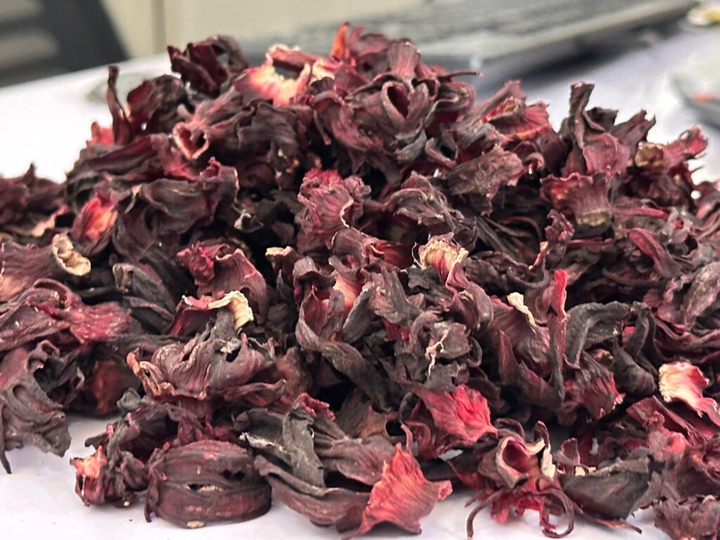 Hibiscus sabdariffa supplier, Dried hibiscus flower export, Hibiscus flower from Nigeria, Bulk hibiscus flower supplier, Organic hibiscus flower, Hibiscus roselle supplier, Hibiscus bulk tea, Nigeria hibiscus flower export, Hibiscus flower exporter, Roselle, Hibiscus, Hibiscus roselle,