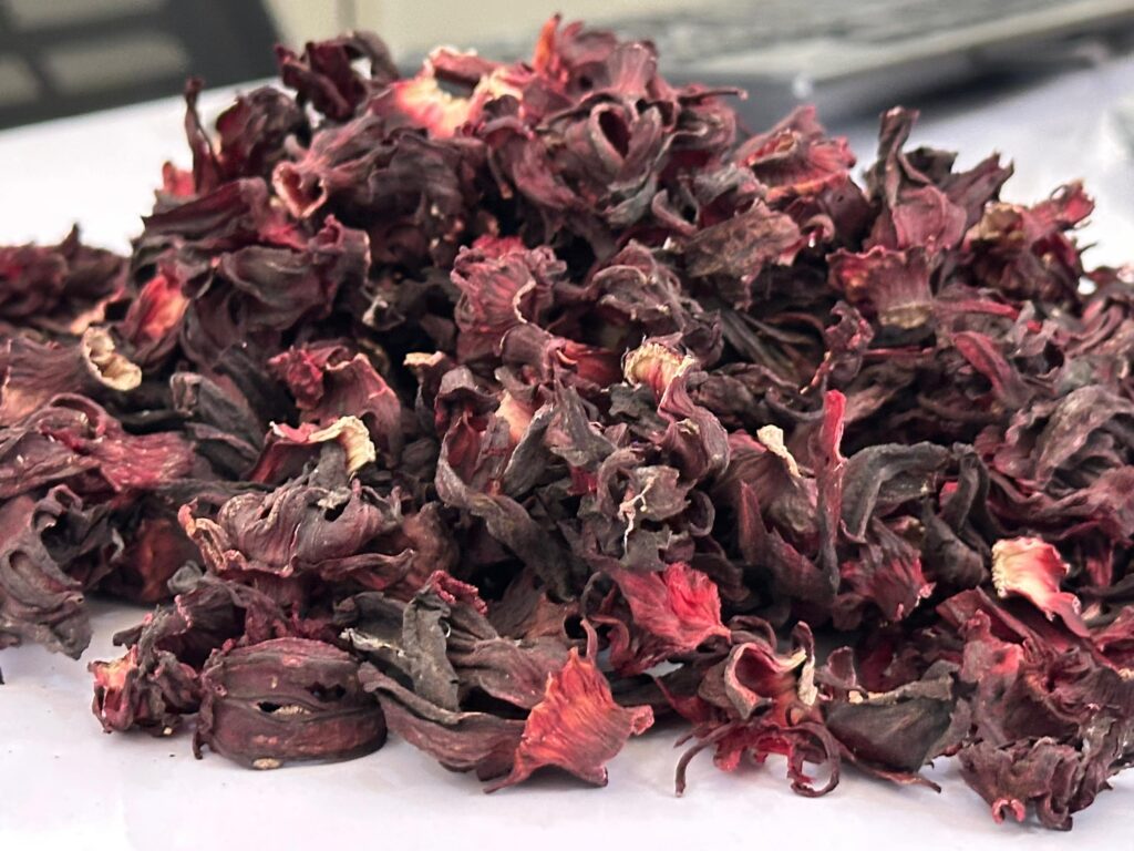 Hibiscus flower exporter, Hibiscus sabdariffa supplier, Dried hibiscus flower export, Hibiscus flower from Nigeria, Bulk hibiscus flower supplier, Organic hibiscus flower, Hibiscus roselle supplier, Hibiscus bulk tea, Nigeria hibiscus flower export, Hibiscus flower exporter, Hibiscus, Roselle, Hibiscus roselle,