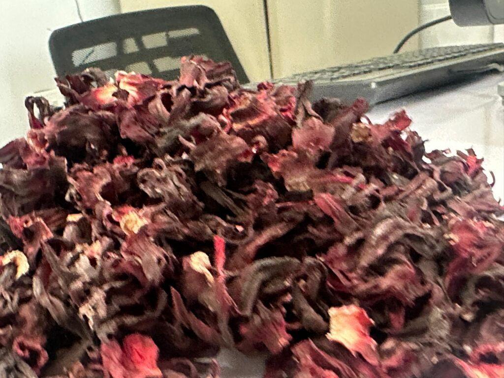Hibiscus sabdariffa supplier, Dried hibiscus flower export, Hibiscus flower from Nigeria, Bulk hibiscus flower supplier, Organic hibiscus flower, Hibiscus roselle supplier, Hibiscus bulk tea, Nigeria hibiscus flower export, Hibiscus flower exporter, Roselle, Hibiscus, Hibiscus roselle,