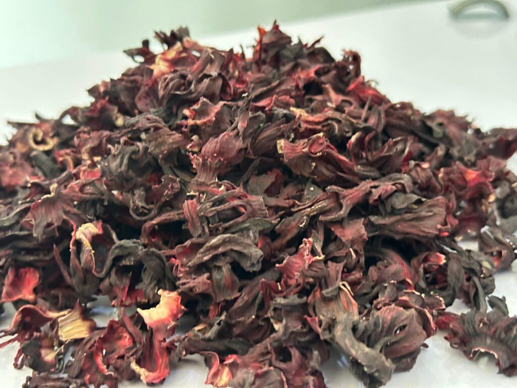 Hibiscus sabdariffa supplier, Dried hibiscus flower export, Hibiscus flower from Nigeria, Bulk hibiscus flower supplier, Organic hibiscus flower, Hibiscus roselle supplier, Hibiscus bulk tea, Nigeria hibiscus flower export, Hibiscus flower exporter, Roselle, Hibiscus, Hibiscus roselle,