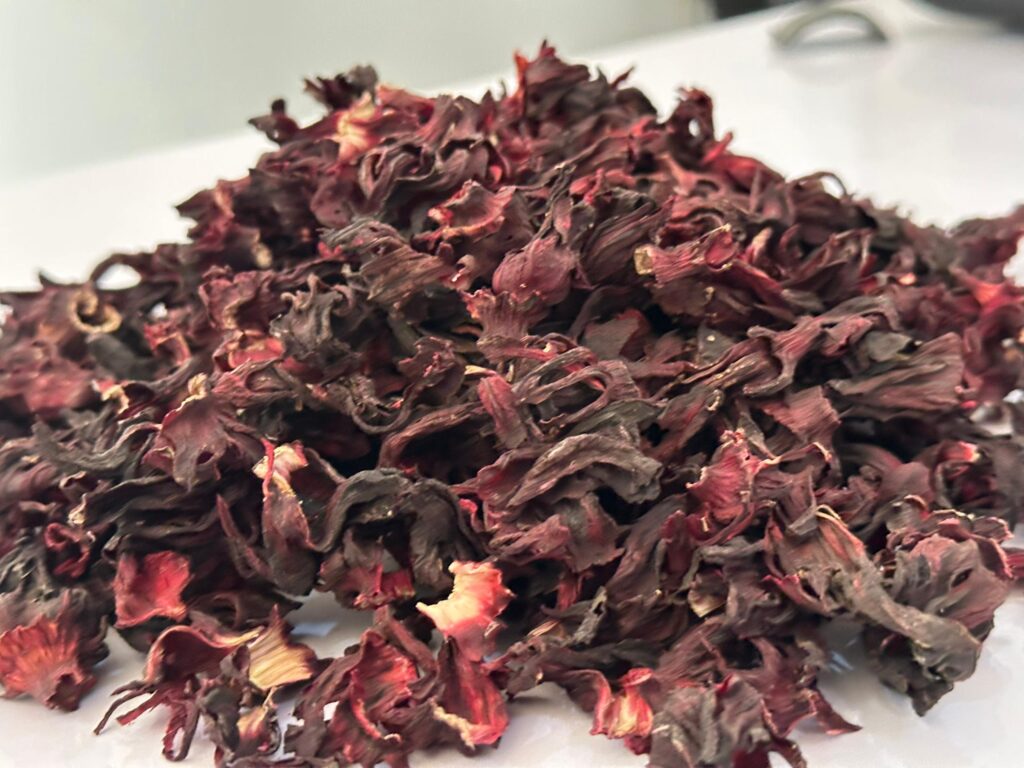 Hibiscus sabdariffa supplier, Dried hibiscus flower export, Hibiscus flower from Nigeria, Bulk hibiscus flower supplier, Organic hibiscus flower, Hibiscus roselle supplier, Hibiscus bulk tea, Nigeria hibiscus flower export, Hibiscus flower exporter, Roselle, Hibiscus, Hibiscus roselle,