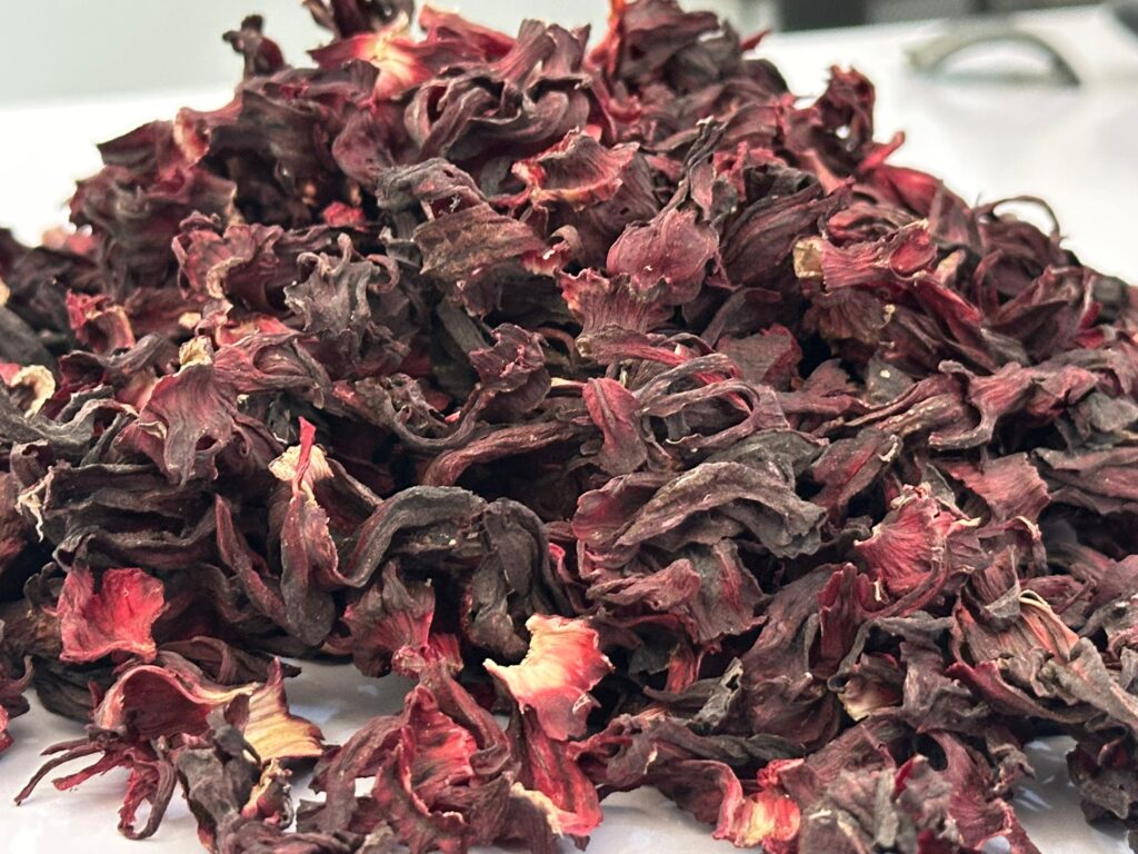 Hibiscus sabdariffa supplier, Dried hibiscus flower export, Hibiscus flower from Nigeria, Bulk hibiscus flower supplier, Organic hibiscus flower, Hibiscus roselle supplier, Hibiscus bulk tea, Nigeria hibiscus flower export, Hibiscus flower exporter, Roselle, Hibiscus, Hibiscus roselle,