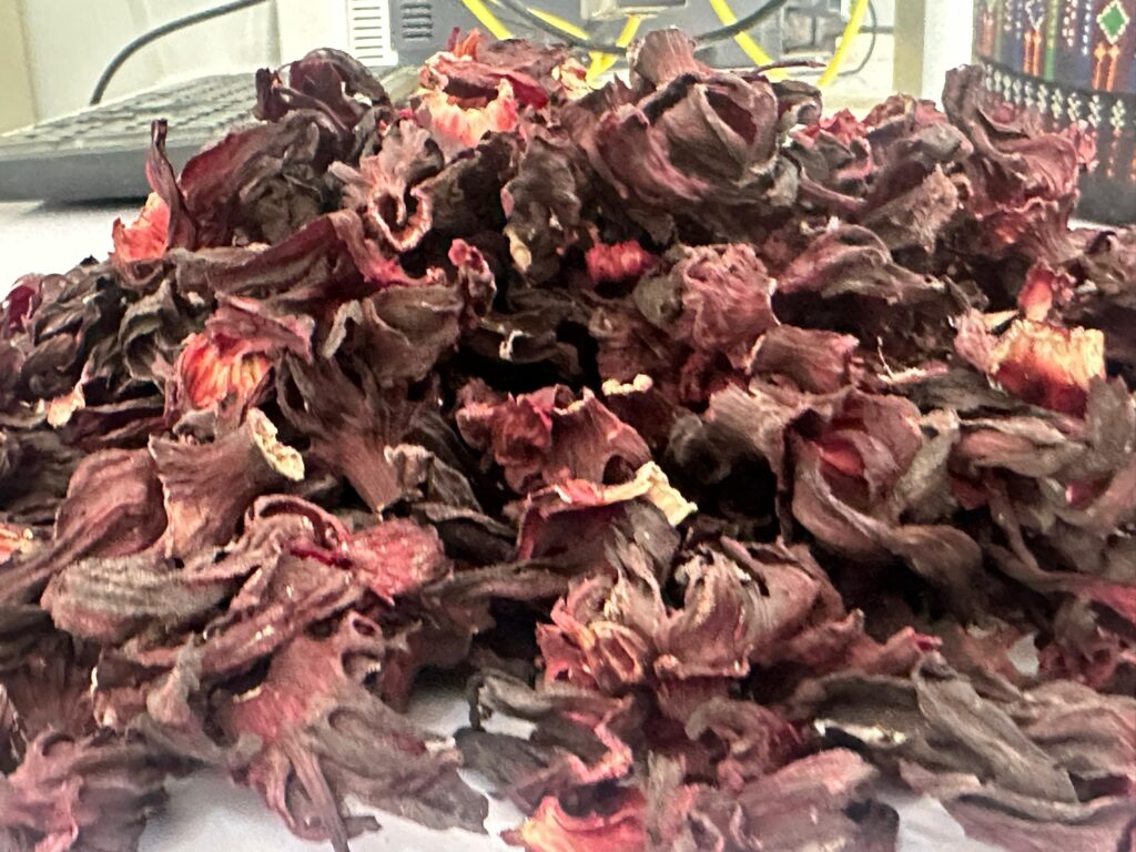 Hibiscus sabdariffa supplier, Dried hibiscus flower export, Hibiscus flower from Nigeria, Bulk hibiscus flower supplier, Organic hibiscus flower, Hibiscus roselle supplier, Hibiscus bulk tea, Nigeria hibiscus flower export, Hibiscus flower exporter, Roselle, Hibiscus, Hibiscus roselle,