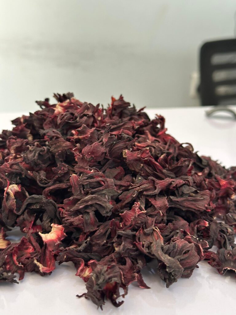 Hibiscus sabdariffa supplier, Dried hibiscus flower export, Hibiscus flower from Nigeria, Bulk hibiscus flower supplier, Organic hibiscus flower, Hibiscus roselle supplier, Hibiscus bulk tea, Nigeria hibiscus flower export, Hibiscus flower exporter, Roselle, Hibiscus, Hibiscus roselle,