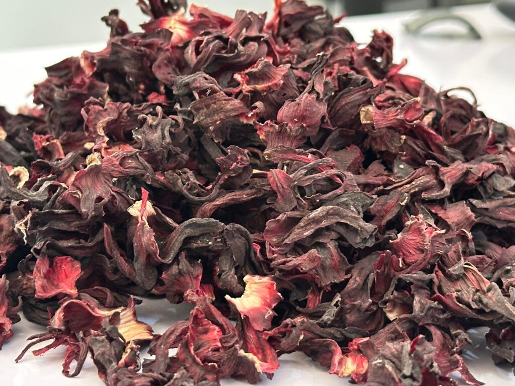 Hibiscus sabdariffa supplier, Dried hibiscus flower export, Hibiscus flower from Nigeria, Bulk hibiscus flower supplier, Organic hibiscus flower, Hibiscus roselle supplier, Hibiscus bulk tea, Nigeria hibiscus flower export, Hibiscus flower exporter, Roselle, Hibiscus, Hibiscus roselle,