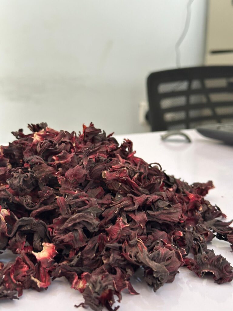 Hibiscus sabdariffa supplier, Dried hibiscus flower export, Hibiscus flower from Nigeria, Bulk hibiscus flower supplier, Organic hibiscus flower, Hibiscus roselle supplier, Hibiscus bulk tea, Nigeria hibiscus flower export, Hibiscus flower exporter, Roselle, Hibiscus, Hibiscus roselle,