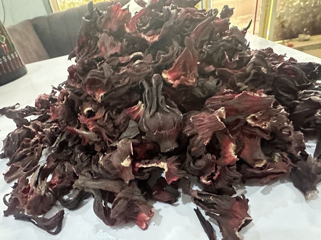 Hibiscus sabdariffa supplier, Dried hibiscus flower export, Hibiscus flower from Nigeria, Bulk hibiscus flower supplier, Organic hibiscus flower, Hibiscus roselle supplier, Hibiscus bulk tea, Nigeria hibiscus flower export, Hibiscus flower exporter, Roselle, Hibiscus, Hibiscus roselle,