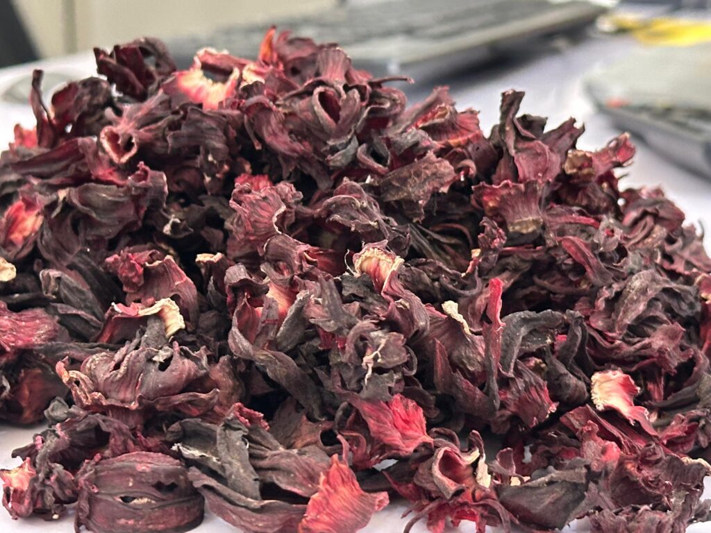 Hibiscus sabdariffa supplier, Dried hibiscus flower export, Hibiscus flower from Nigeria, Bulk hibiscus flower supplier, Organic hibiscus flower, Hibiscus roselle supplier, Hibiscus bulk tea, Nigeria hibiscus flower export, Hibiscus flower exporter, Roselle, Hibiscus, Hibiscus roselle,