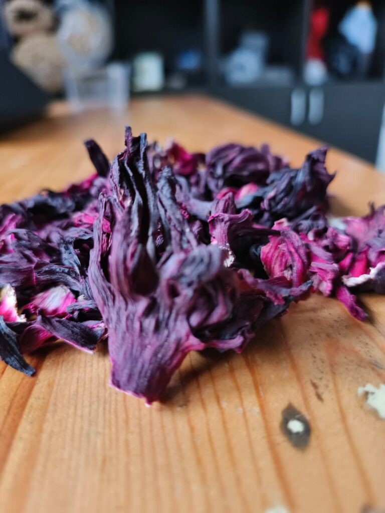 Hibiscus flower exporter, Hibiscus sabdariffa supplier, Dried hibiscus flower export, Hibiscus flower from Nigeria, Bulk hibiscus flower supplier, Organic hibiscus flower, Hibiscus roselle supplier, Hibiscus bulk tea, Nigeria hibiscus flower export, Hibiscus flower exporter, Roselle, Hibiscus, Hibiscus roselle,