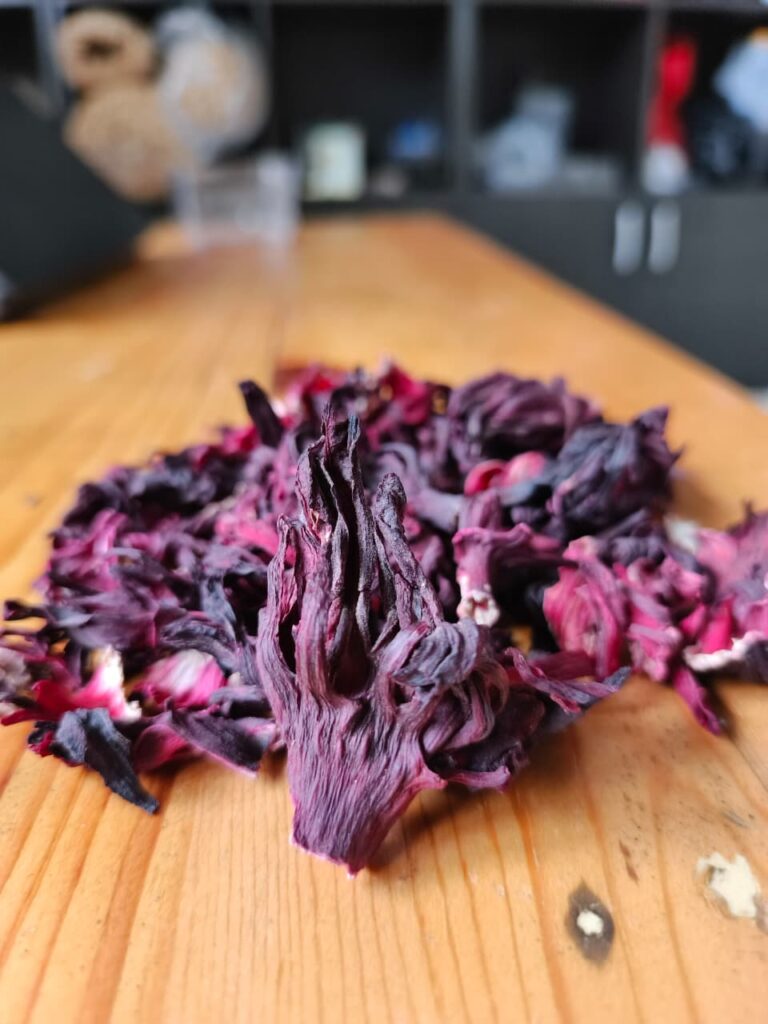 Hibiscus flower exporter, Hibiscus sabdariffa supplier, Dried hibiscus flower export, Hibiscus flower from Nigeria, Bulk hibiscus flower supplier, Organic hibiscus flower, Hibiscus roselle supplier, Hibiscus bulk tea, Nigeria hibiscus flower export, Hibiscus flower exporter, Roselle, Hibiscus, Hibiscus roselle,