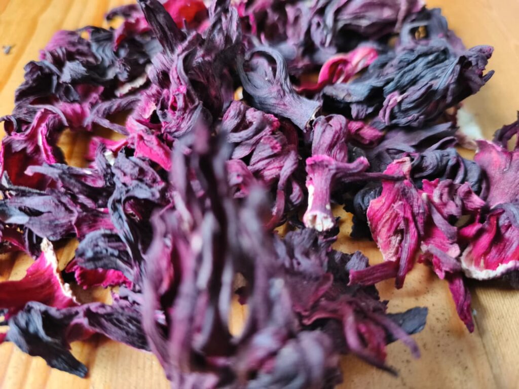 Hibiscus flower exporter, Hibiscus sabdariffa supplier, Dried hibiscus flower export, Hibiscus flower from Nigeria, Bulk hibiscus flower supplier, Organic hibiscus flower, Hibiscus roselle supplier, Hibiscus bulk tea, Nigeria hibiscus flower export, Hibiscus flower exporter, Hibiscus, Roselle, Hibiscus roselle,