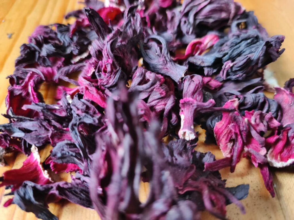 Hibiscus flower exporter, Hibiscus sabdariffa supplier, Dried hibiscus flower export, Hibiscus flower from Nigeria, Bulk hibiscus flower supplier, Organic hibiscus flower, Hibiscus roselle supplier, Hibiscus bulk tea, Nigeria hibiscus flower export, Hibiscus flower exporter, Hibiscus, Roselle, Hibiscus roselle,