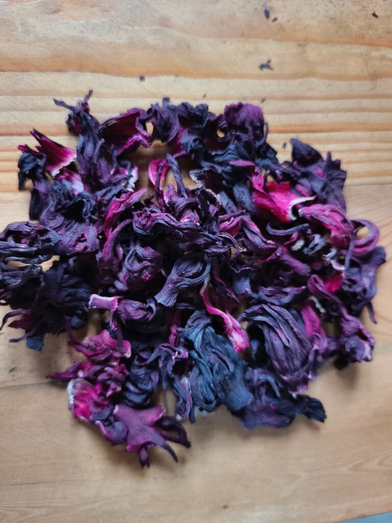 Hibiscus flower exporter, Hibiscus sabdariffa supplier, Dried hibiscus flower export, Hibiscus flower from Nigeria, Bulk hibiscus flower supplier, Organic hibiscus flower, Hibiscus roselle supplier, Hibiscus bulk tea, Nigeria hibiscus flower export, Hibiscus flower exporter, Hibiscus, Roselle, Hibiscus roselle,