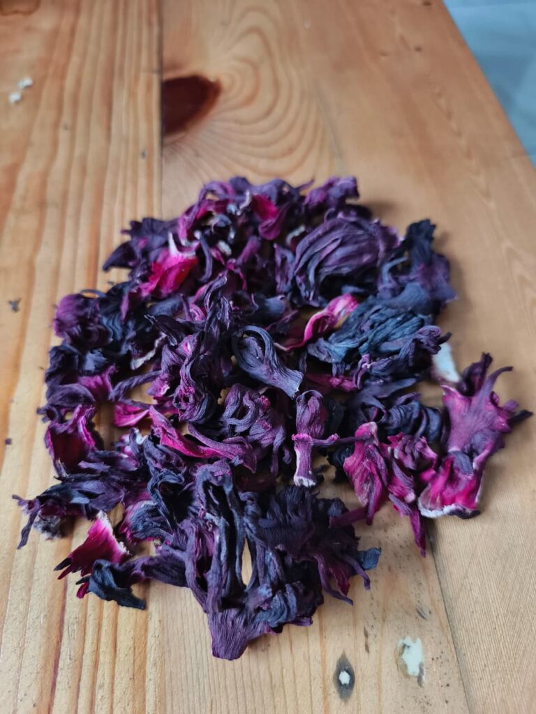 Hibiscus flower exporter, Hibiscus sabdariffa supplier, Dried hibiscus flower export, Hibiscus flower from Nigeria, Bulk hibiscus flower supplier, Organic hibiscus flower, Hibiscus roselle supplier, Hibiscus bulk tea, Nigeria hibiscus flower export, Hibiscus flower exporter, Hibiscus, Roselle, Hibiscus roselle,