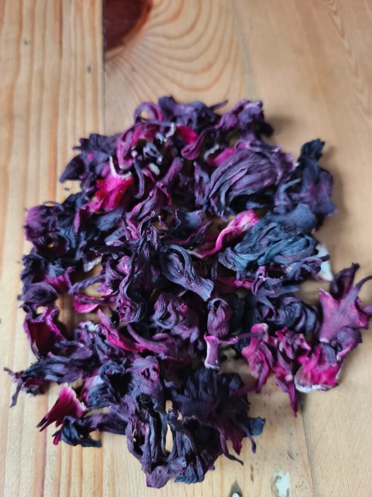 Hibiscus flower exporter, Hibiscus sabdariffa supplier, Dried hibiscus flower export, Hibiscus flower from Nigeria, Bulk hibiscus flower supplier, Organic hibiscus flower, Hibiscus roselle supplier, Hibiscus bulk tea, Nigeria hibiscus flower export, Hibiscus flower exporter, Hibiscus, Roselle, Hibiscus roselle,