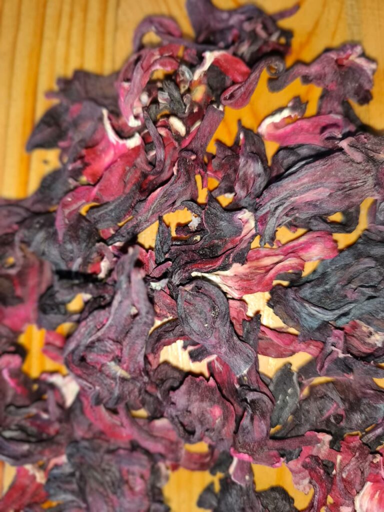 Hibiscus flower exporter, Hibiscus sabdariffa supplier, Dried hibiscus flower export, Hibiscus flower from Nigeria, Bulk hibiscus flower supplier, Organic hibiscus flower, Hibiscus roselle supplier, Hibiscus bulk tea, Nigeria hibiscus flower export, Hibiscus flower exporter, Roselle, Hibiscus, Hibiscus roselle,