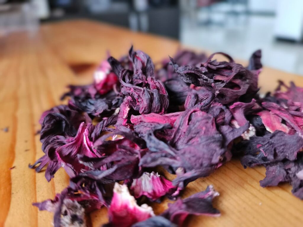 Hibiscus flower exporter, Hibiscus sabdariffa supplier, Dried hibiscus flower export, Hibiscus flower from Nigeria, Bulk hibiscus flower supplier, Organic hibiscus flower, Hibiscus roselle supplier, Hibiscus bulk tea, Nigeria hibiscus flower export, Hibiscus flower exporter, Roselle, Hibiscus, Hibiscus roselle,