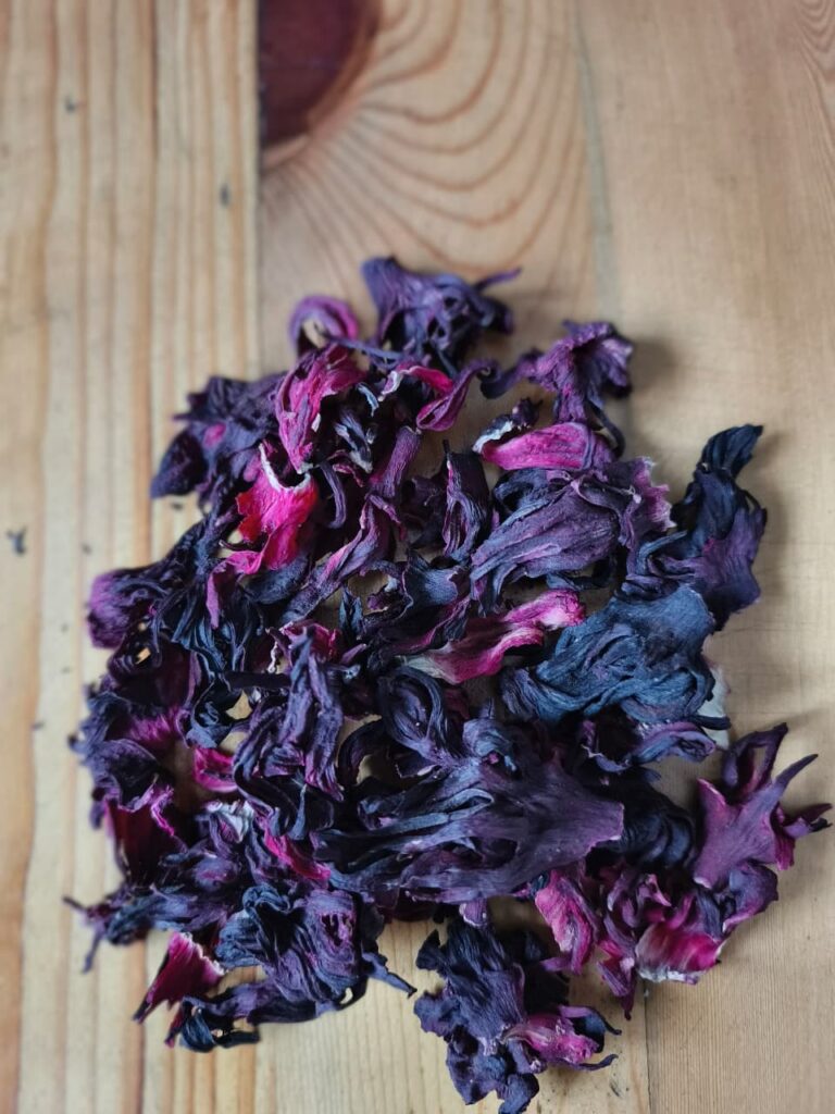 Hibiscus flower exporter, Hibiscus sabdariffa supplier, Dried hibiscus flower export, Hibiscus flower from Nigeria, Bulk hibiscus flower supplier, Organic hibiscus flower, Hibiscus roselle supplier, Hibiscus bulk tea, Nigeria hibiscus flower export, Hibiscus flower exporter, Roselle, Hibiscus, Hibiscus roselle,
