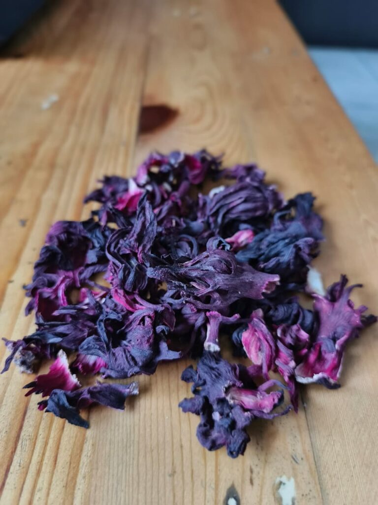 Hibiscus flower exporter, Hibiscus sabdariffa supplier, Dried hibiscus flower export, Hibiscus flower from Nigeria, Bulk hibiscus flower supplier, Organic hibiscus flower, Hibiscus roselle supplier, Hibiscus bulk tea, Nigeria hibiscus flower export, Hibiscus flower exporter, Roselle, Hibiscus, Hibiscus roselle,