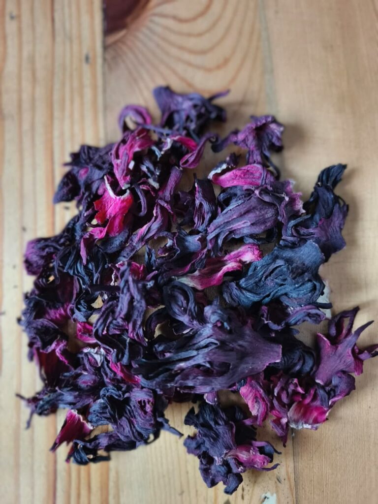 Hibiscus flower exporter, Hibiscus sabdariffa supplier, Dried hibiscus flower export, Hibiscus flower from Nigeria, Bulk hibiscus flower supplier, Organic hibiscus flower, Hibiscus roselle supplier, Hibiscus bulk tea, Nigeria hibiscus flower export, Hibiscus flower exporter, Roselle, Hibiscus, Hibiscus roselle,