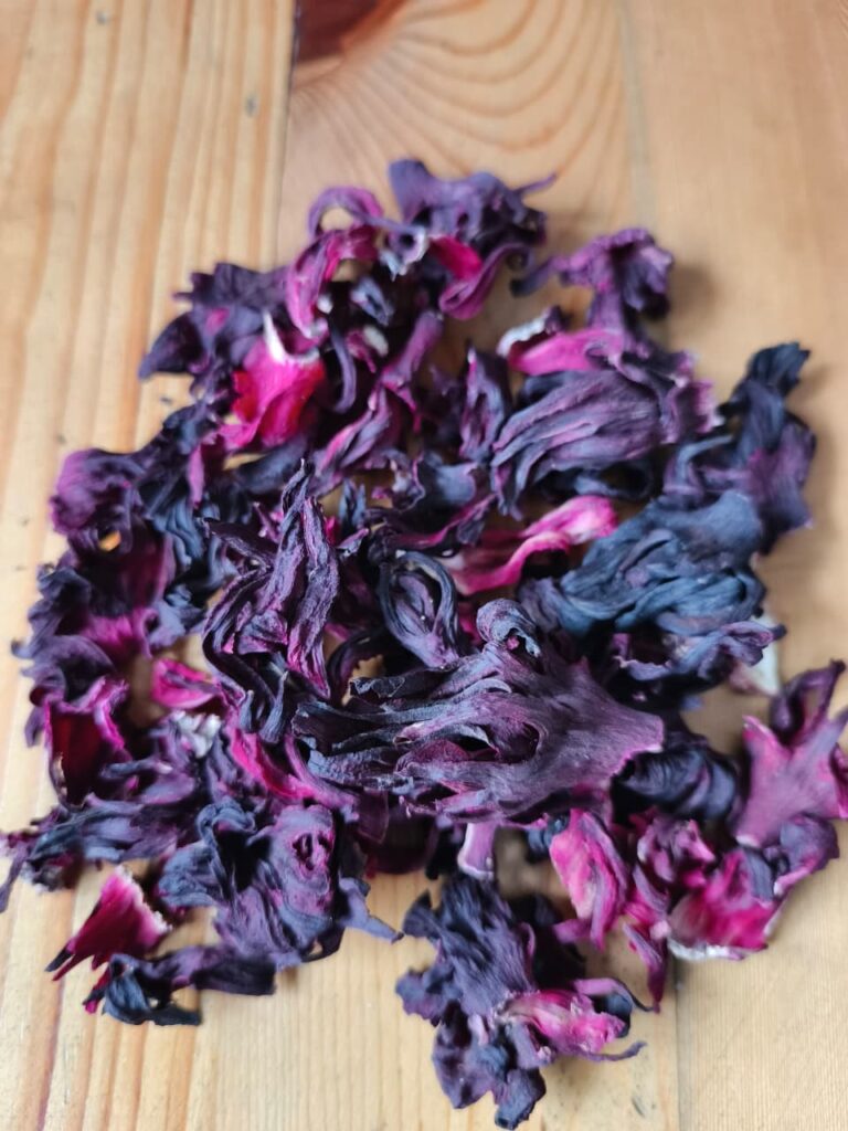 Hibiscus flower exporter, Hibiscus sabdariffa supplier, Dried hibiscus flower export, Hibiscus flower from Nigeria, Bulk hibiscus flower supplier, Organic hibiscus flower, Hibiscus roselle supplier, Hibiscus bulk tea, Nigeria hibiscus flower export, Hibiscus flower exporter, Roselle, Hibiscus, Hibiscus roselle,