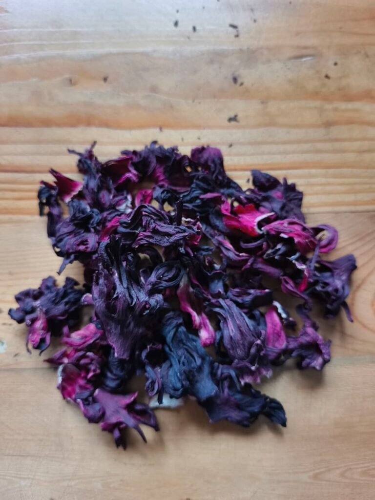 Hibiscus flower exporter, Hibiscus sabdariffa supplier, Dried hibiscus flower export, Hibiscus flower from Nigeria, Bulk hibiscus flower supplier, Organic hibiscus flower, Hibiscus roselle supplier, Hibiscus bulk tea, Nigeria hibiscus flower export, Hibiscus flower exporter, Roselle, Hibiscus, Hibiscus roselle,