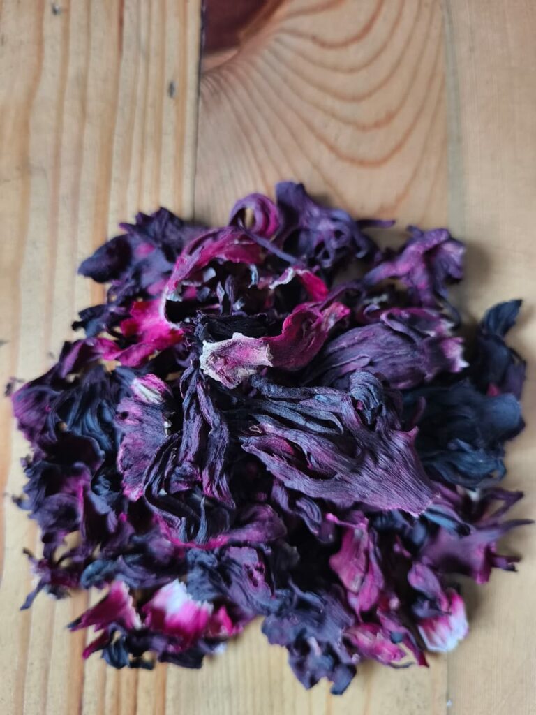 Hibiscus flower exporter, Hibiscus sabdariffa supplier, Dried hibiscus flower export, Hibiscus flower from Nigeria, Bulk hibiscus flower supplier, Organic hibiscus flower, Hibiscus roselle supplier, Hibiscus bulk tea, Nigeria hibiscus flower export, Hibiscus flower exporter, Roselle, Hibiscus, Hibiscus roselle,