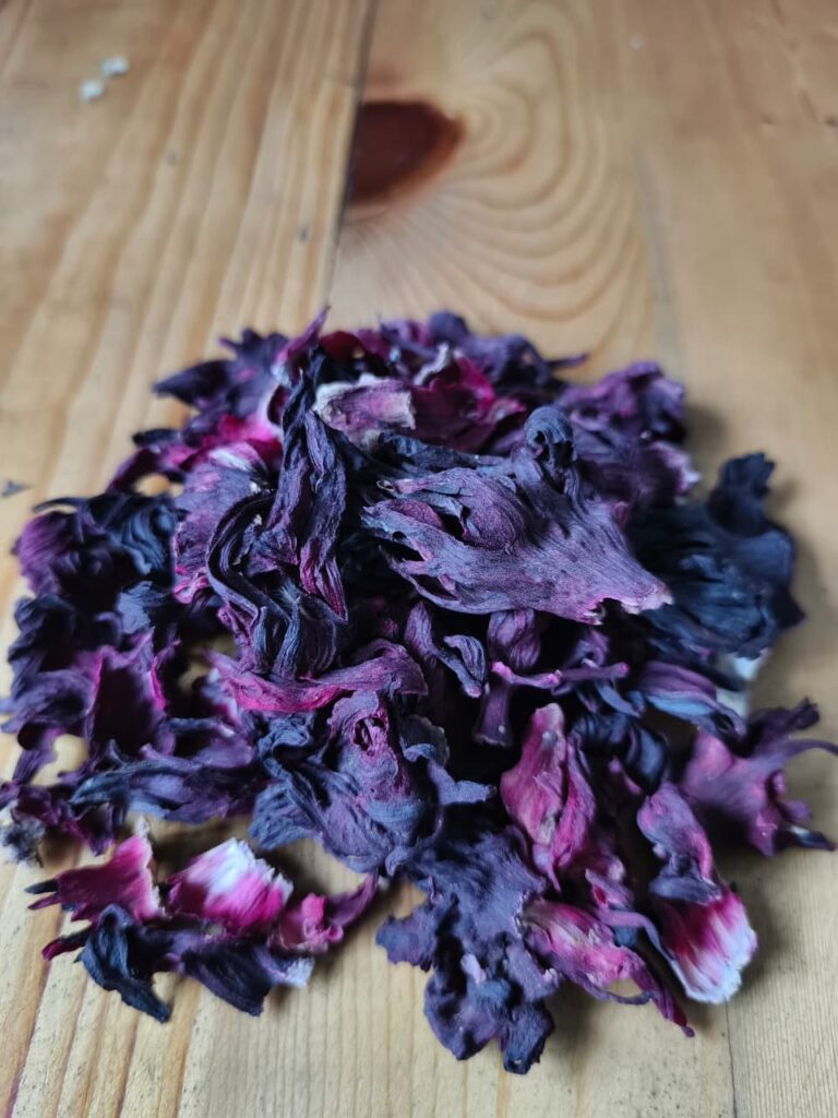 Hibiscus flower exporter, Hibiscus sabdariffa supplier, Dried hibiscus flower export, Hibiscus flower from Nigeria, Bulk hibiscus flower supplier, Organic hibiscus flower, Hibiscus roselle supplier, Hibiscus bulk tea, Nigeria hibiscus flower export, Hibiscus flower exporter, Roselle, Hibiscus, Hibiscus roselle,
