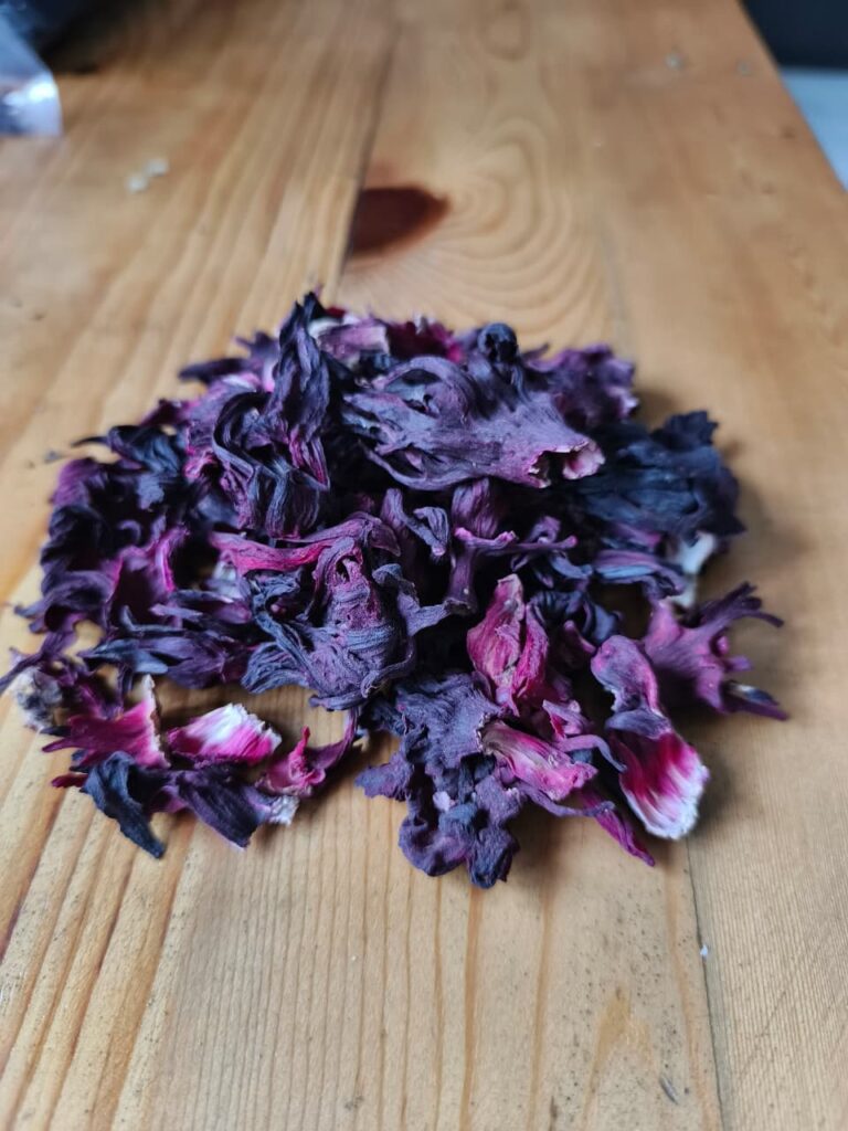 Hibiscus flower exporter, Hibiscus sabdariffa supplier, Dried hibiscus flower export, Hibiscus flower from Nigeria, Bulk hibiscus flower supplier, Organic hibiscus flower, Hibiscus roselle supplier, Hibiscus bulk tea, Nigeria hibiscus flower export, Hibiscus flower exporter, Roselle, Hibiscus, Hibiscus roselle,