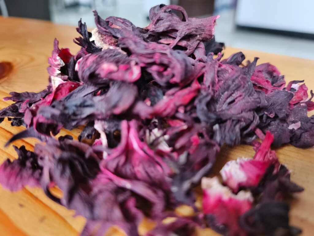 Hibiscus flower exporter, Hibiscus sabdariffa supplier, Dried hibiscus flower export, Hibiscus flower from Nigeria, Bulk hibiscus flower supplier, Organic hibiscus flower, Hibiscus roselle supplier, Hibiscus bulk tea, Nigeria hibiscus flower export, Hibiscus flower exporter, Roselle, Hibiscus, Hibiscus roselle,