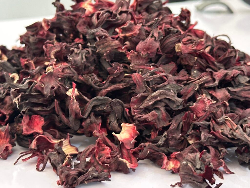 Hibiscus sabdariffa supplier, Dried hibiscus flower export, Hibiscus flower from Nigeria, Bulk hibiscus flower supplier, Organic hibiscus flower, Hibiscus roselle supplier, Hibiscus bulk tea, Nigeria hibiscus flower export, Hibiscus flower exporter, Roselle, Hibiscus, Hibiscus roselle,