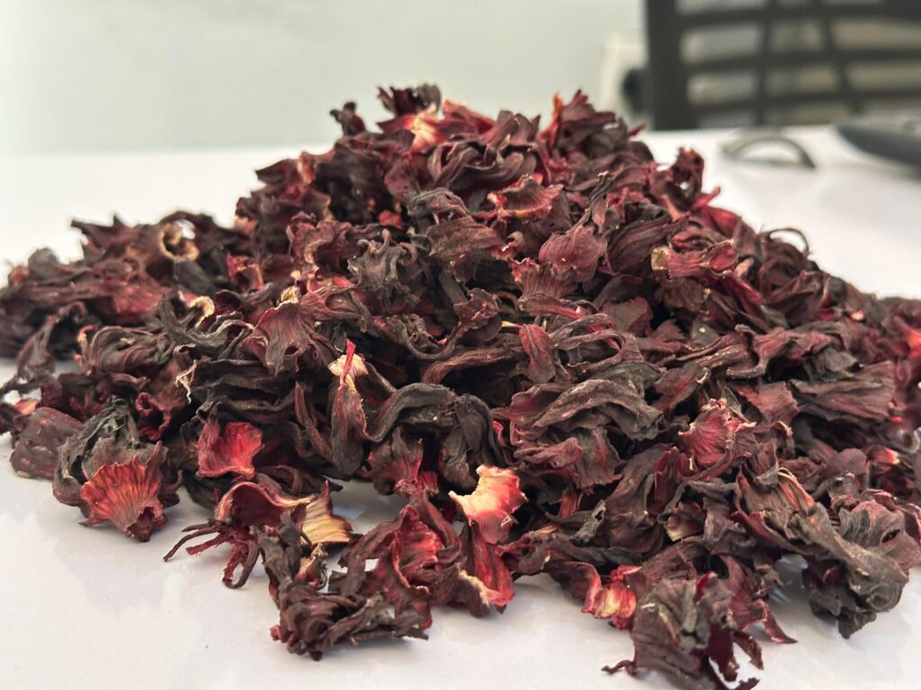 Hibiscus sabdariffa supplier, Dried hibiscus flower export, Hibiscus flower from Nigeria, Bulk hibiscus flower supplier, Organic hibiscus flower, Hibiscus roselle supplier, Hibiscus bulk tea, Nigeria hibiscus flower export, Hibiscus flower exporter, Roselle, Hibiscus, Hibiscus roselle,