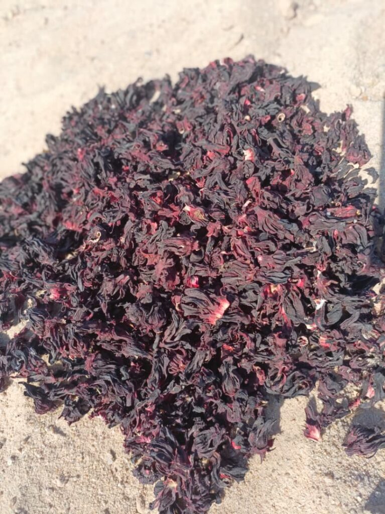 Hibiscus sabdariffa supplier, Dried hibiscus flower export, Hibiscus flower from Nigeria, Bulk hibiscus flower supplier, Organic hibiscus flower, Hibiscus roselle supplier, Hibiscus bulk tea, Nigeria hibiscus flower export, Hibiscus flower exporter, Roselle, Hibiscus, Hibiscus roselle,