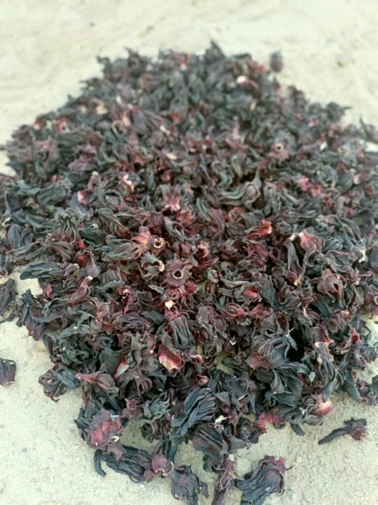 Hibiscus sabdariffa supplier, Dried hibiscus flower export, Hibiscus flower from Nigeria, Bulk hibiscus flower supplier, Organic hibiscus flower, Hibiscus roselle supplier, Hibiscus bulk tea, Nigeria hibiscus flower export, Hibiscus flower exporter, Roselle, Hibiscus, Hibiscus roselle,