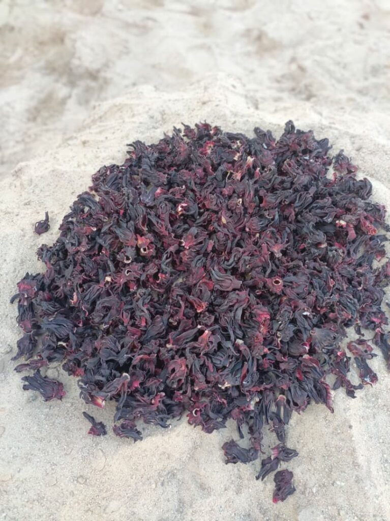 Hibiscus sabdariffa supplier, Dried hibiscus flower export, Hibiscus flower from Nigeria, Bulk hibiscus flower supplier, Organic hibiscus flower, Hibiscus roselle supplier, Hibiscus bulk tea, Nigeria hibiscus flower export, Hibiscus flower exporter, Roselle, Hibiscus, Hibiscus roselle,