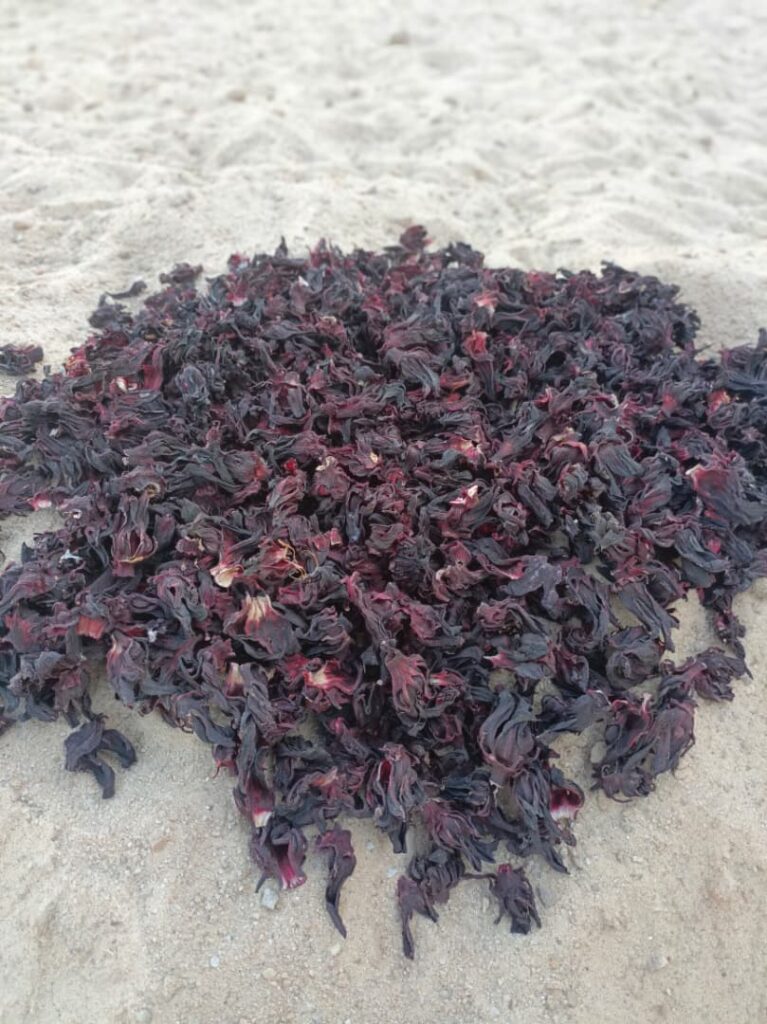 Hibiscus sabdariffa supplier, Dried hibiscus flower export, Hibiscus flower from Nigeria, Bulk hibiscus flower supplier, Organic hibiscus flower, Hibiscus roselle supplier, Hibiscus bulk tea, Nigeria hibiscus flower export, Hibiscus flower exporter, Roselle, Hibiscus, Hibiscus roselle,