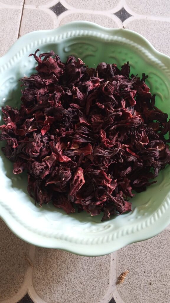 Hibiscus sabdariffa supplier, Dried hibiscus flower export, Hibiscus flower from Nigeria, Bulk hibiscus flower supplier, Organic hibiscus flower, Hibiscus roselle supplier, Hibiscus bulk tea, Nigeria hibiscus flower export, Hibiscus flower exporter, Roselle, Hibiscus, Hibiscus roselle,