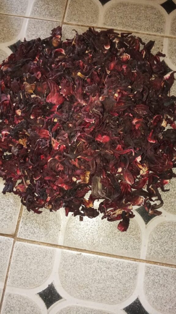 Hibiscus sabdariffa supplier, Dried hibiscus flower export, Hibiscus flower from Nigeria, Bulk hibiscus flower supplier, Organic hibiscus flower, Hibiscus roselle supplier, Hibiscus bulk tea, Nigeria hibiscus flower export, Hibiscus flower exporter, Roselle, Hibiscus, Hibiscus roselle,