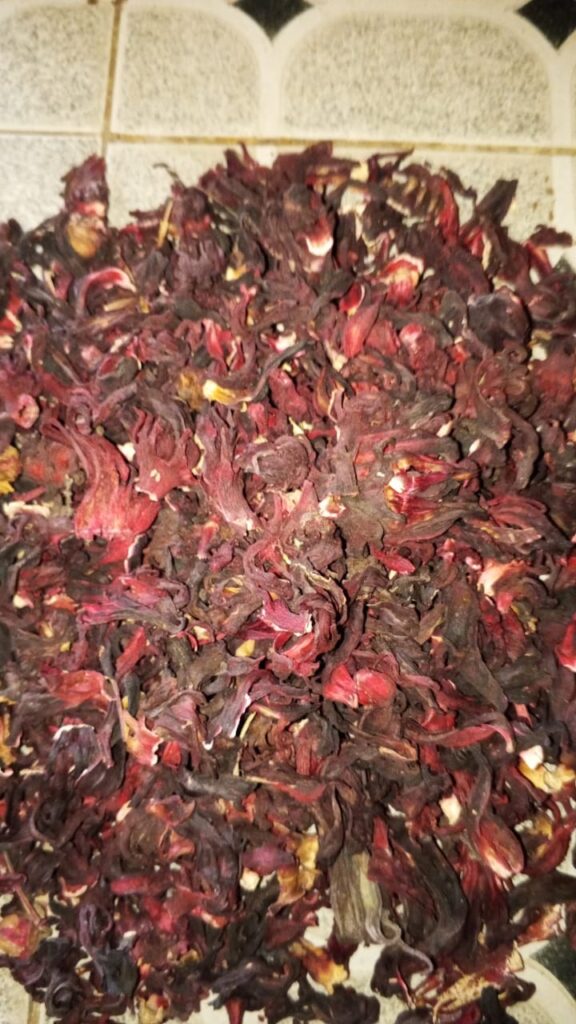 Hibiscus sabdariffa supplier, Dried hibiscus flower export, Hibiscus flower from Nigeria, Bulk hibiscus flower supplier, Organic hibiscus flower, Hibiscus roselle supplier, Hibiscus bulk tea, Nigeria hibiscus flower export, Hibiscus flower exporter, Roselle, Hibiscus, Hibiscus roselle,