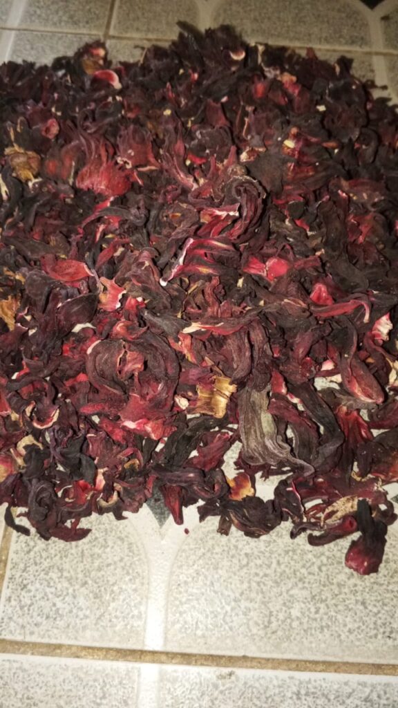 Hibiscus sabdariffa supplier, Dried hibiscus flower export, Hibiscus flower from Nigeria, Bulk hibiscus flower supplier, Organic hibiscus flower, Hibiscus roselle supplier, Hibiscus bulk tea, Nigeria hibiscus flower export, Hibiscus flower exporter, Roselle, Hibiscus, Hibiscus roselle,
