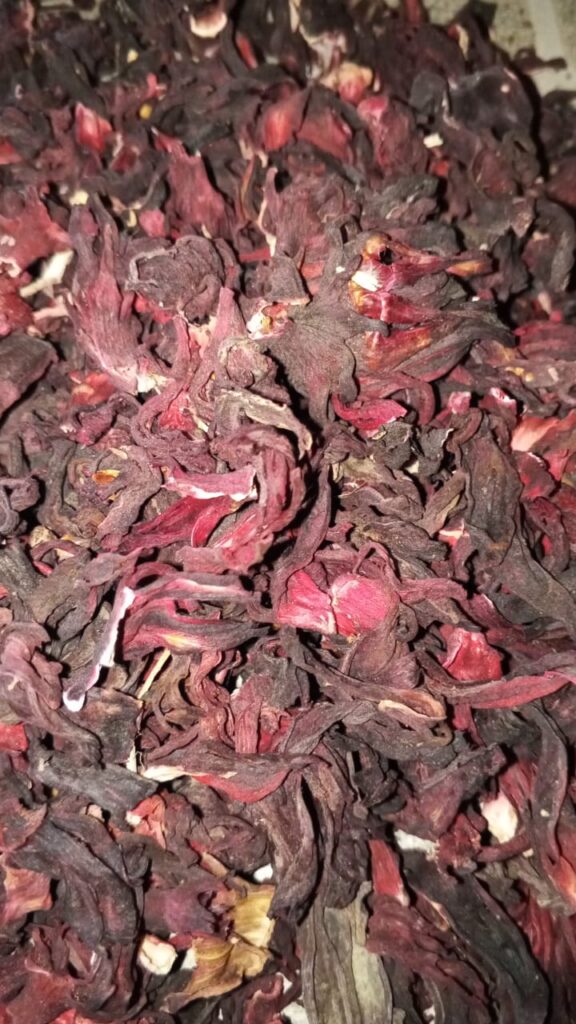 Hibiscus sabdariffa supplier, Dried hibiscus flower export, Hibiscus flower from Nigeria, Bulk hibiscus flower supplier, Organic hibiscus flower, Hibiscus roselle supplier, Hibiscus bulk tea, Nigeria hibiscus flower export, Hibiscus flower exporter, Roselle, Hibiscus, Hibiscus roselle,