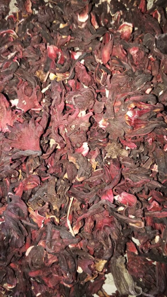 Hibiscus sabdariffa supplier, Dried hibiscus flower export, Hibiscus flower from Nigeria, Bulk hibiscus flower supplier, Organic hibiscus flower, Hibiscus roselle supplier, Hibiscus bulk tea, Nigeria hibiscus flower export, Hibiscus flower exporter, Roselle, Hibiscus, Hibiscus roselle,