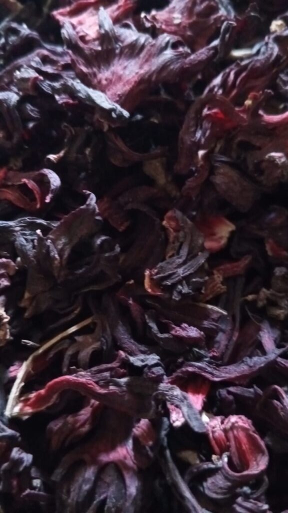 Hibiscus sabdariffa supplier, Dried hibiscus flower export, Hibiscus flower from Nigeria, Bulk hibiscus flower supplier, Organic hibiscus flower, Hibiscus roselle supplier, Hibiscus bulk tea, Nigeria hibiscus flower export, Hibiscus flower exporter, Roselle, Hibiscus, Hibiscus roselle,